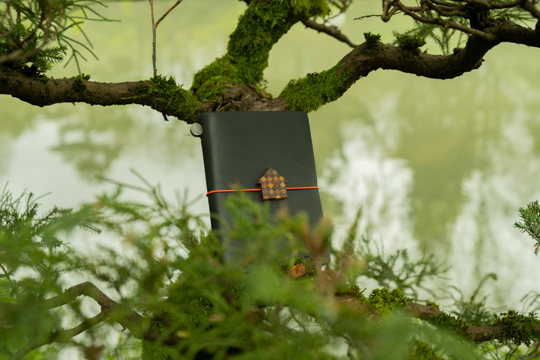 TRAVELER'S notebook Passport Size with YOSEGI Luthier House against a tree branch.