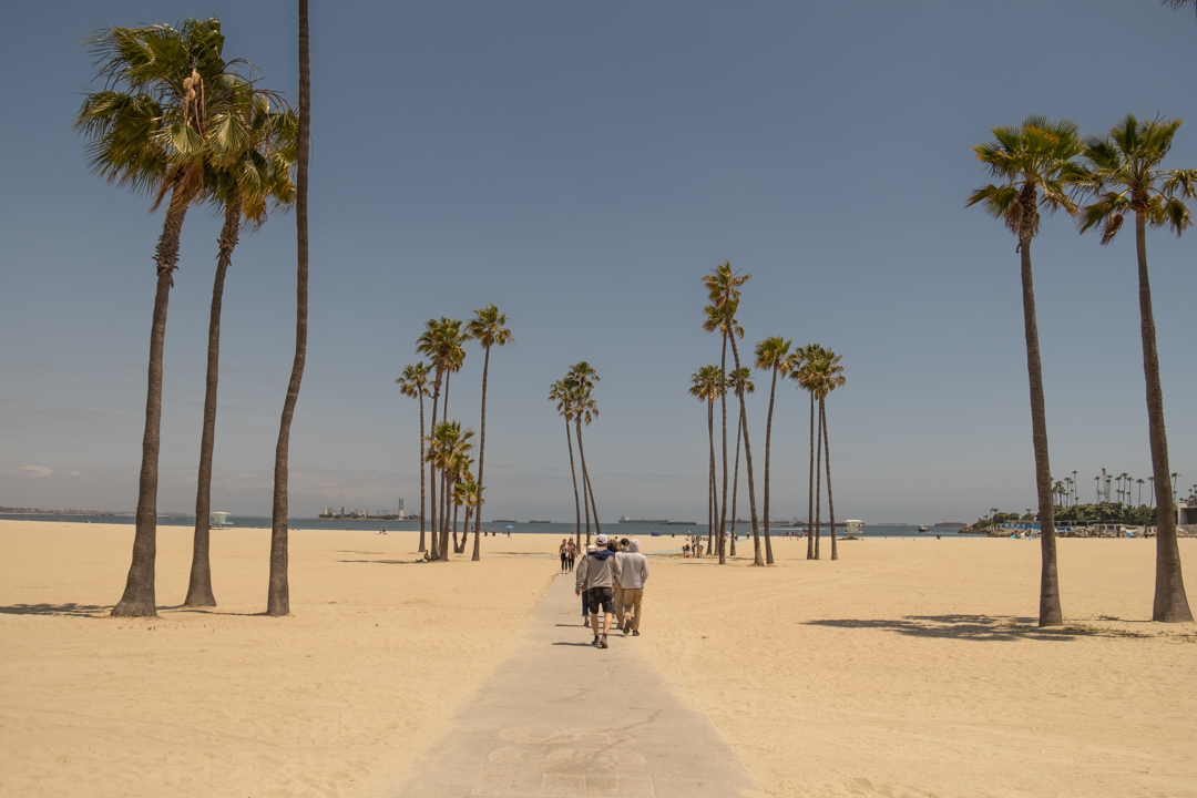 Beach scene with sand, a walk way in the middle and palm trees.