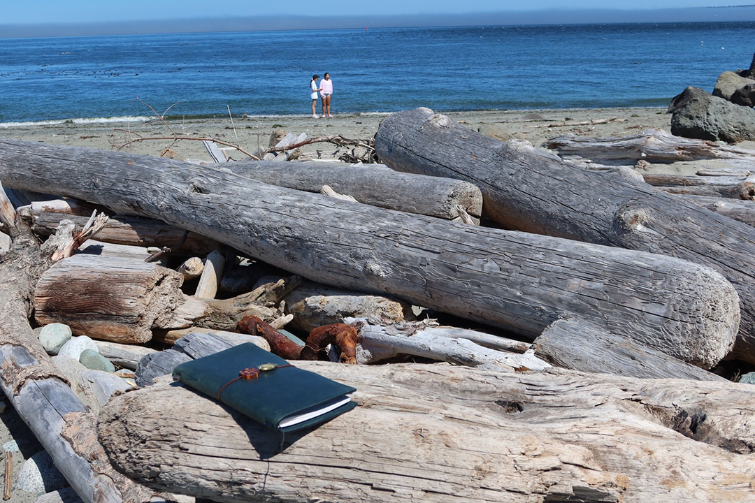 Blue TRAVELER'S notebook on driftwood by the beach.