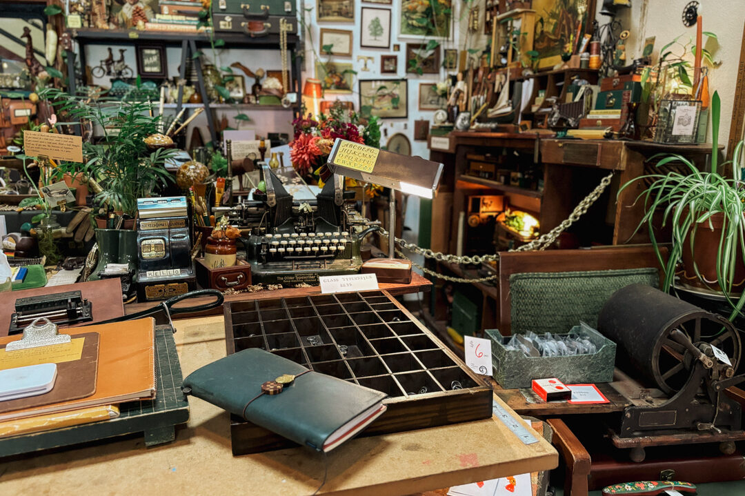 TRAVELER'S notebook against the busy backdrop of Type Townsend.