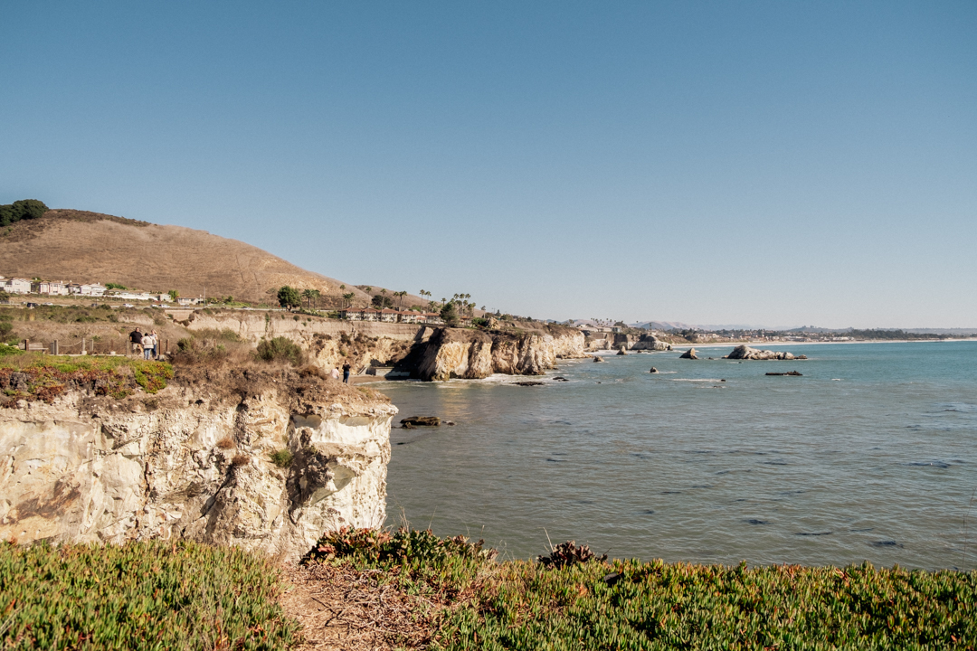 Sunny and bright landscape of an oceanside cliff.