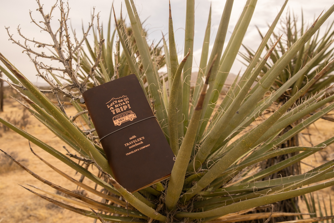 The Road Trip TRAVELER'S notebook resting on a cactus.