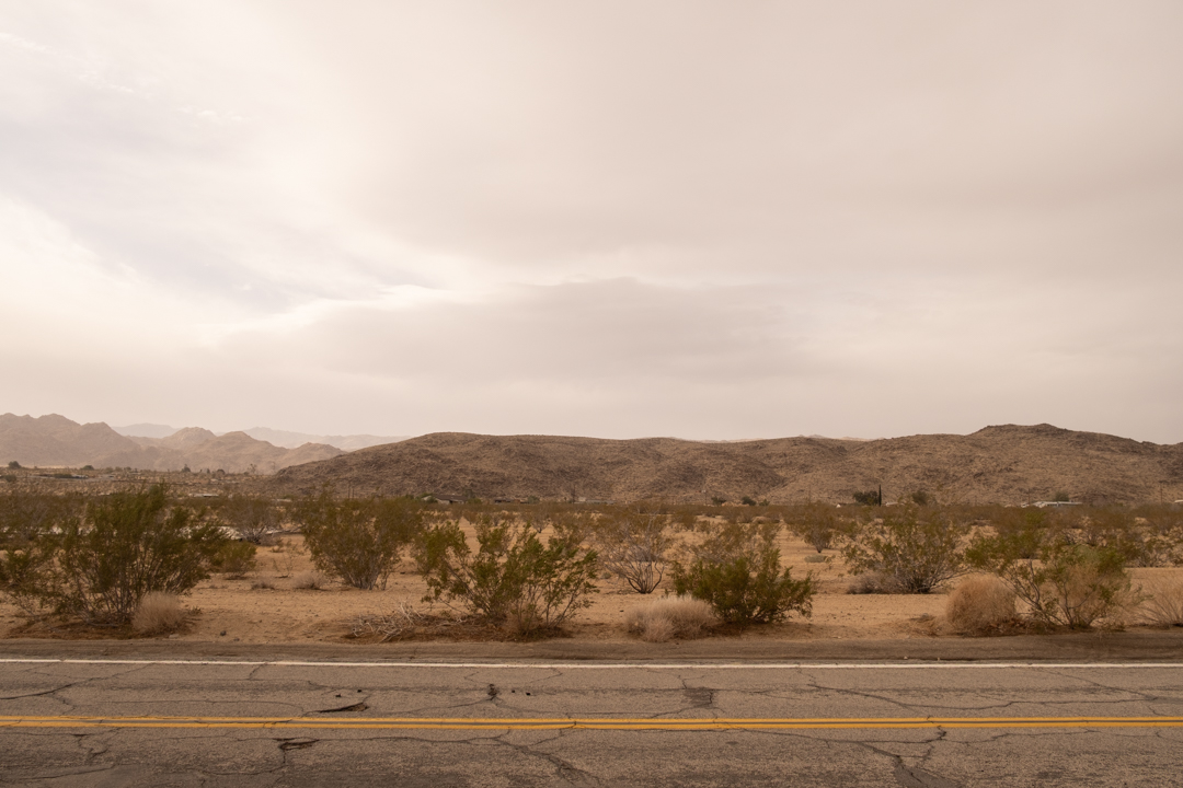 An empty highway with the Joshua Tree Desert behind it.