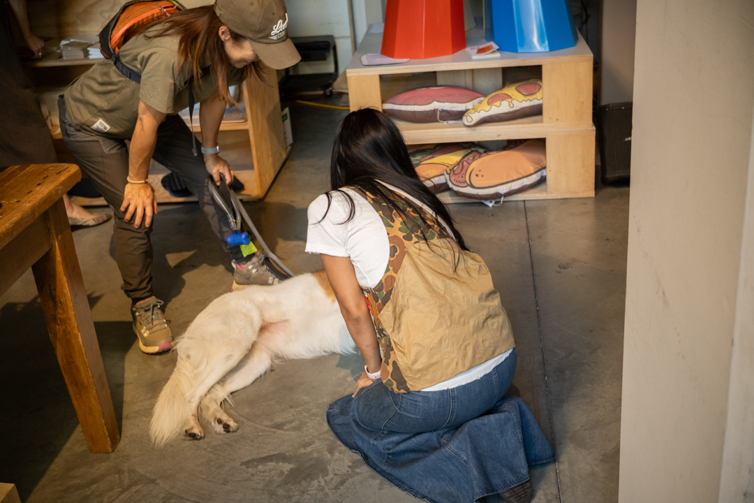 A person petting a dog, with another person holding the dog's leash, while they're inside HIGHTIDE STORE DTLA.