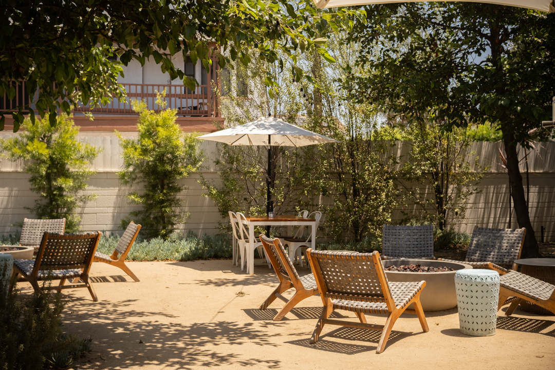 A restaurant's patio area filled with sunshine and dappled light because of the trees and foliage.